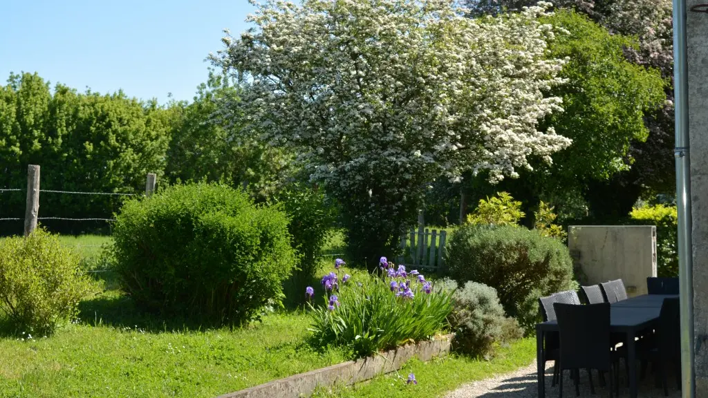 En pleine nature