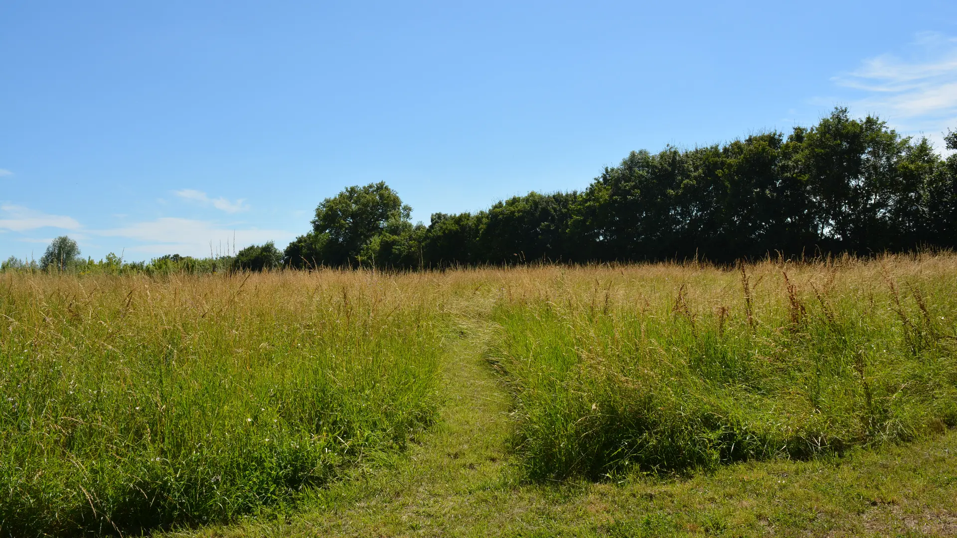 Chemin de découverte sur 5 hectares