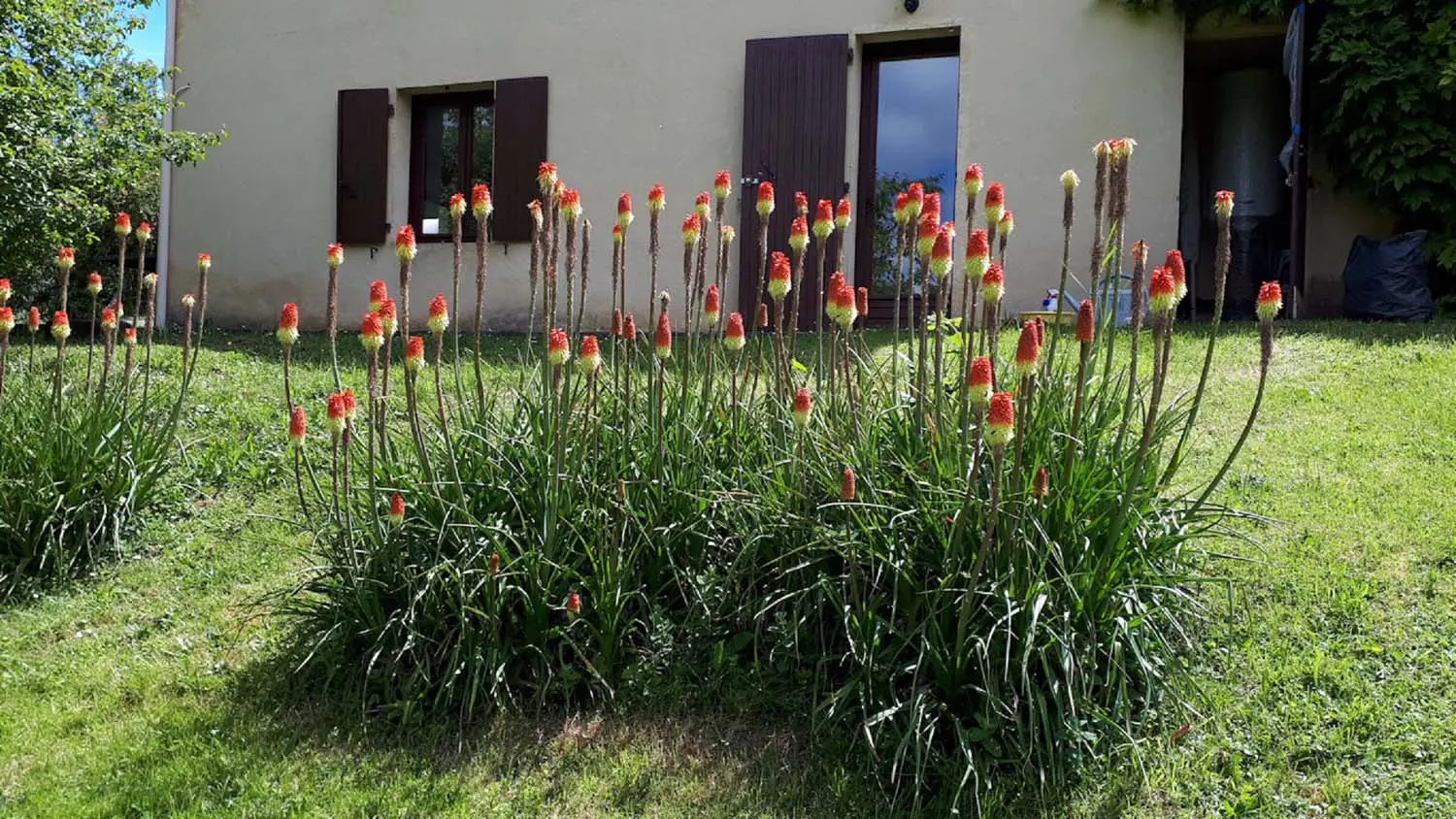 La Fougasse - Castelnaud