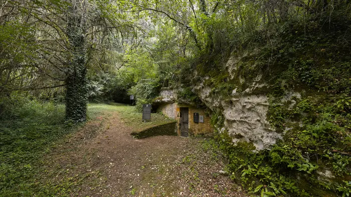 Abri du Poisson, vue du site, Damien Lachas, DLW25-0235