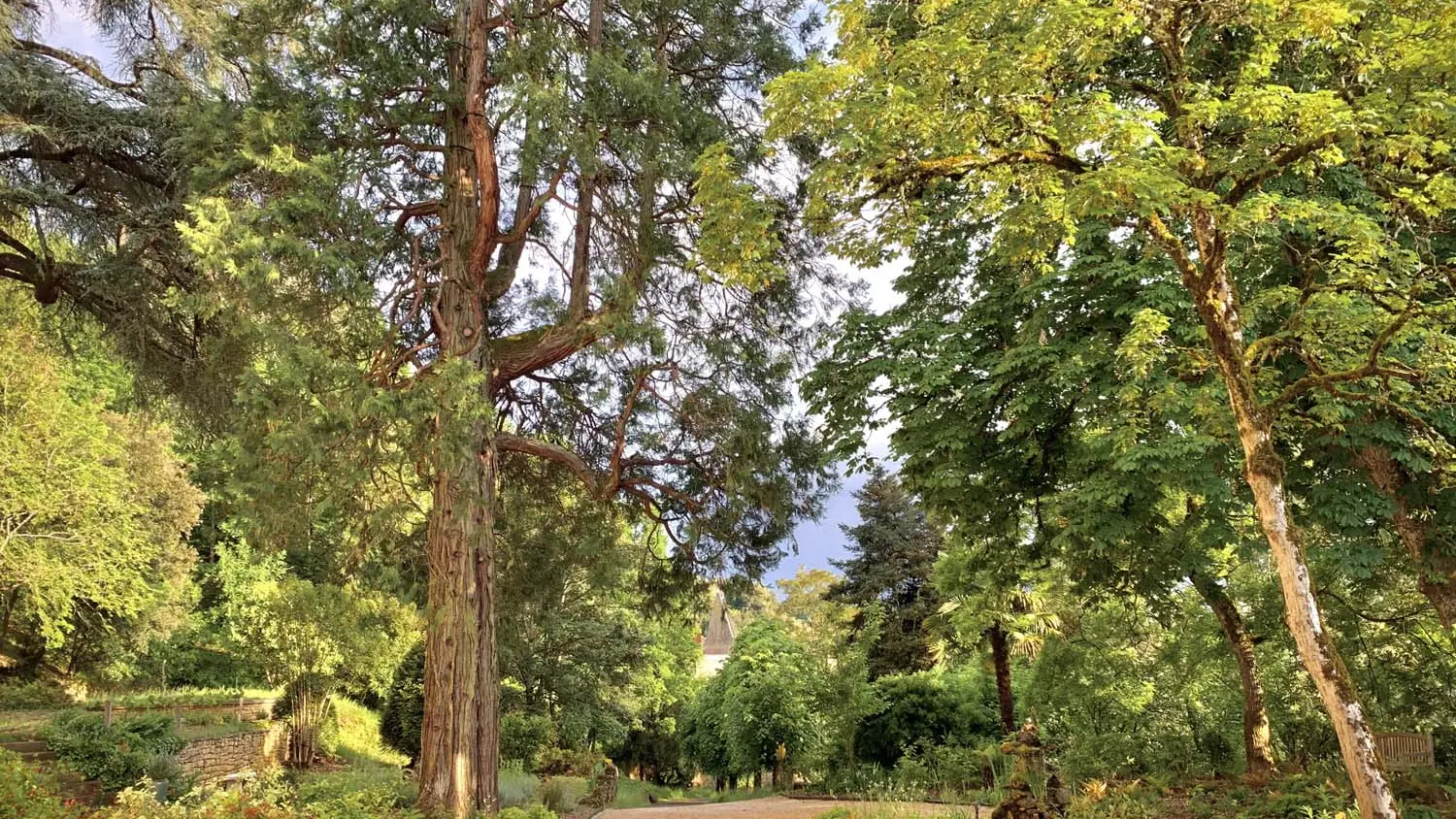 Allée arrivée - Le Temps Retrouvé Sarlat