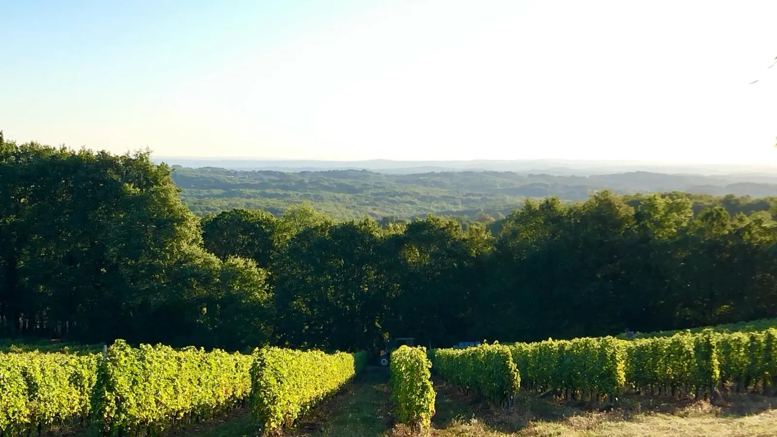 Domaine Chante l'Oiseau