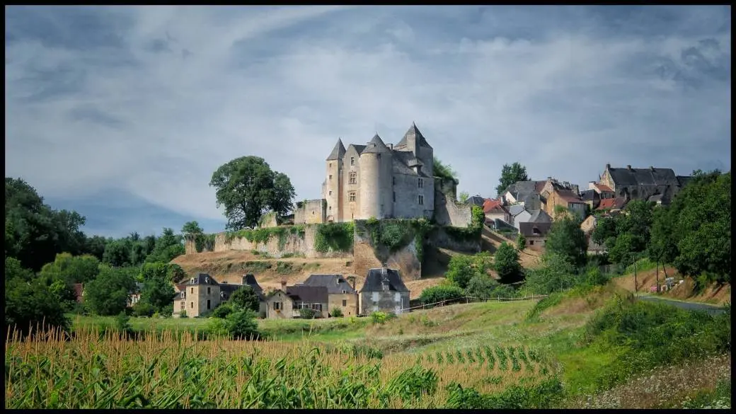 Chateau_de_Salignac (2)