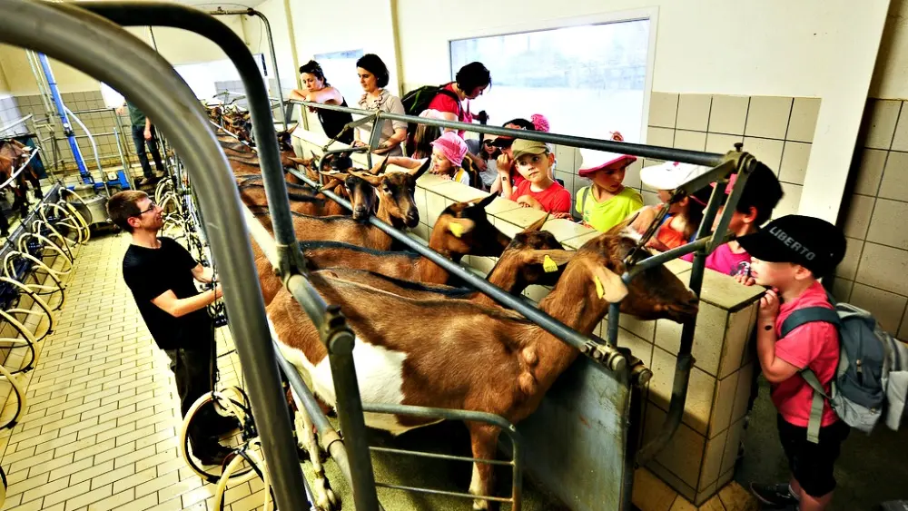 Ferme La Borie d'Imbert