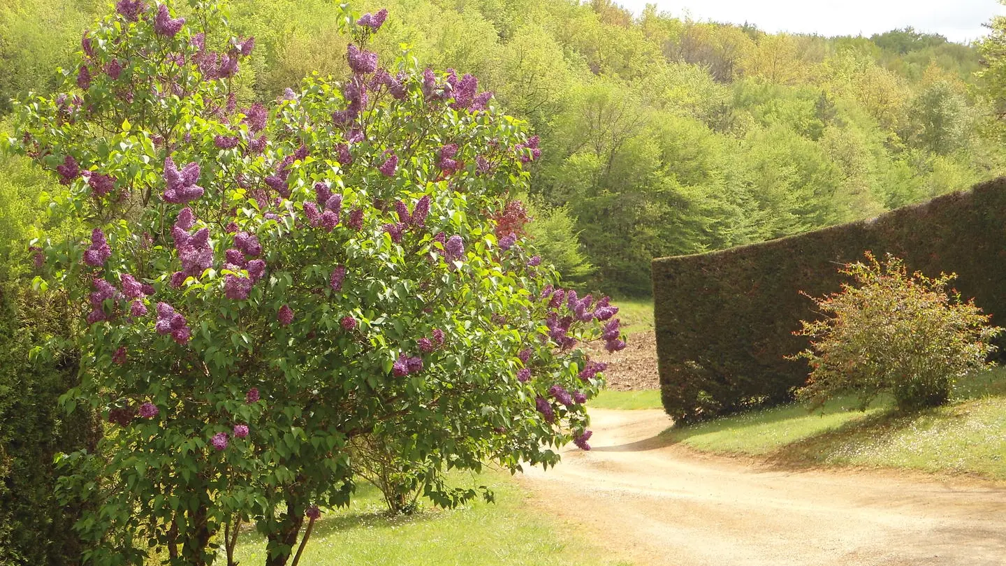 GÎTE CANTERANE