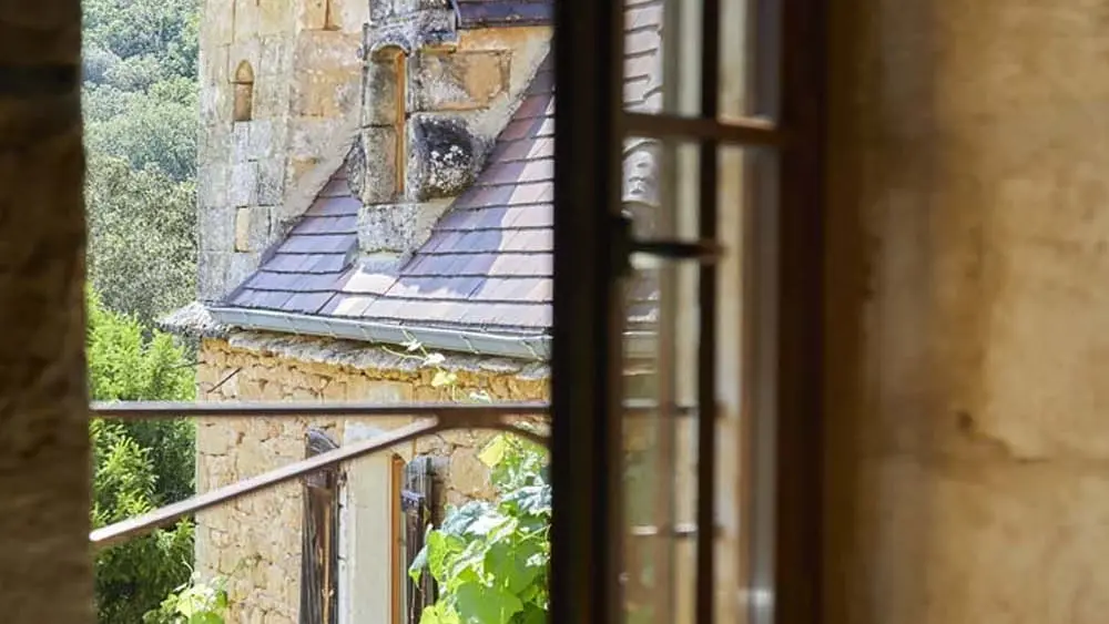 Domaine-de-Cantegrel-vitrac-sarlat-Gite-La-Maison-Bleue-vue-prt