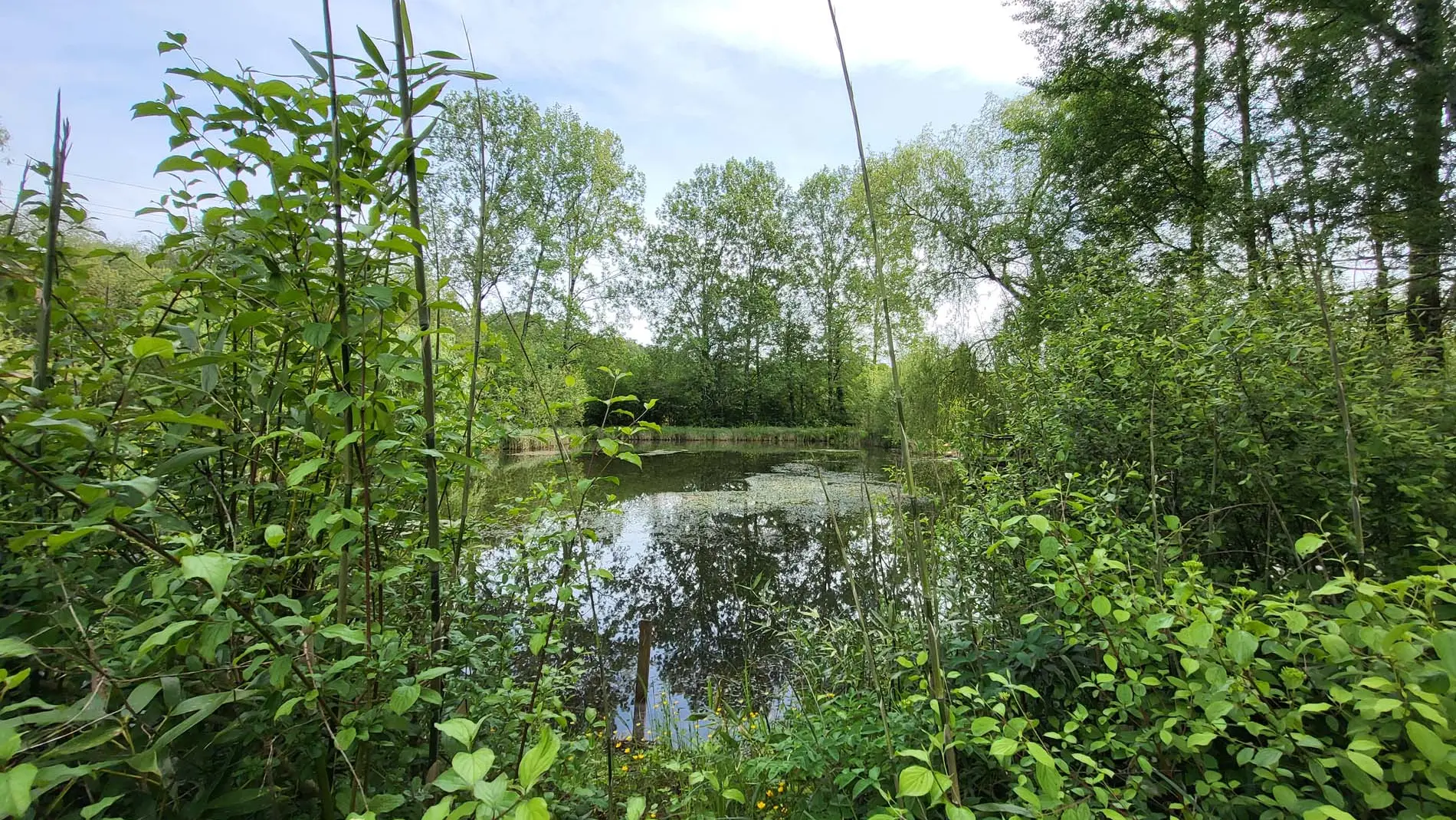Etang-chambre-dhote-sarlat