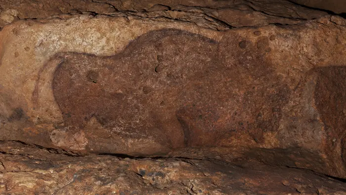 Grotte de Font-de-Gaume, bison