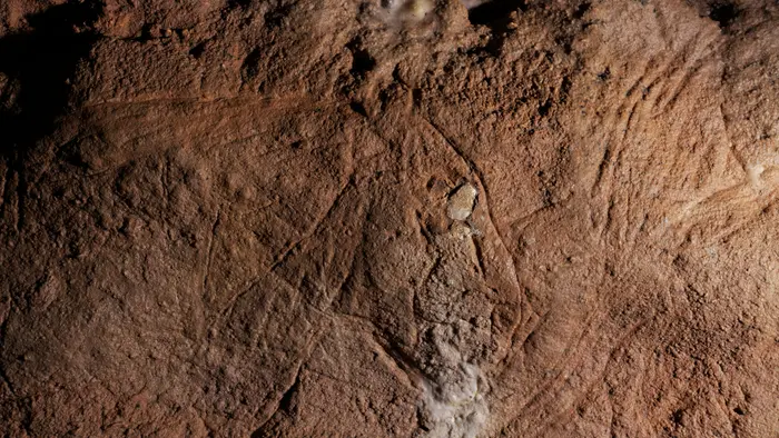 Grotte de Combarelles I, tête de lionne (détail d'une figure)