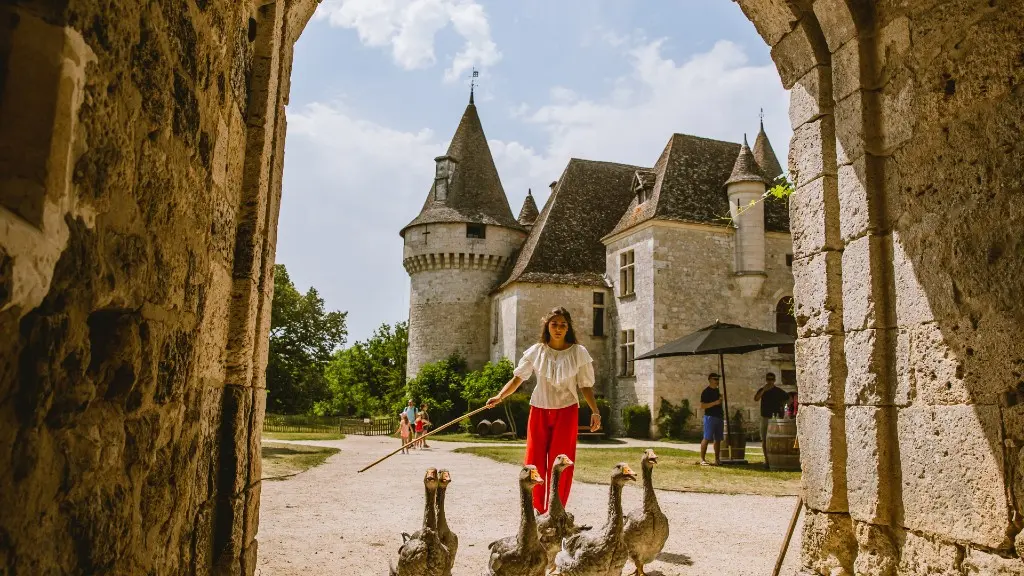 HL_LMAZALREY_SAUVEURS DE PIERRES BRIDOIRE ET TIREGAND-oie perigord porte chateau