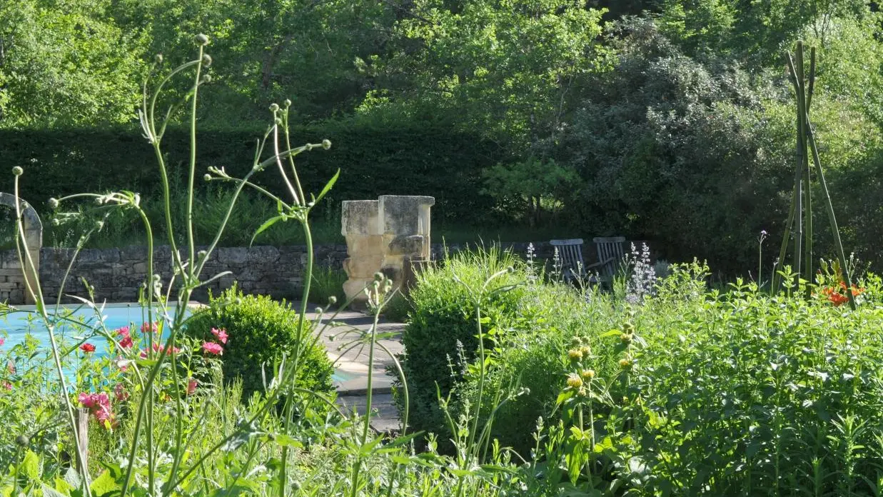 L'albarède - jardin piscine-  (3)