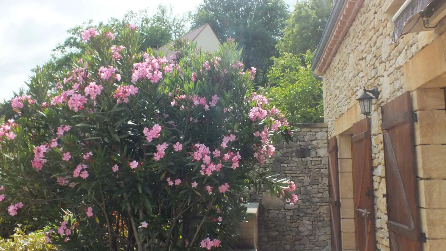 L'hirondelle - Sarlat (6)