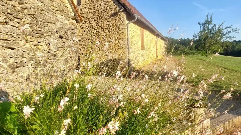 LE SORBEL entre sarlat et lascaux (3)