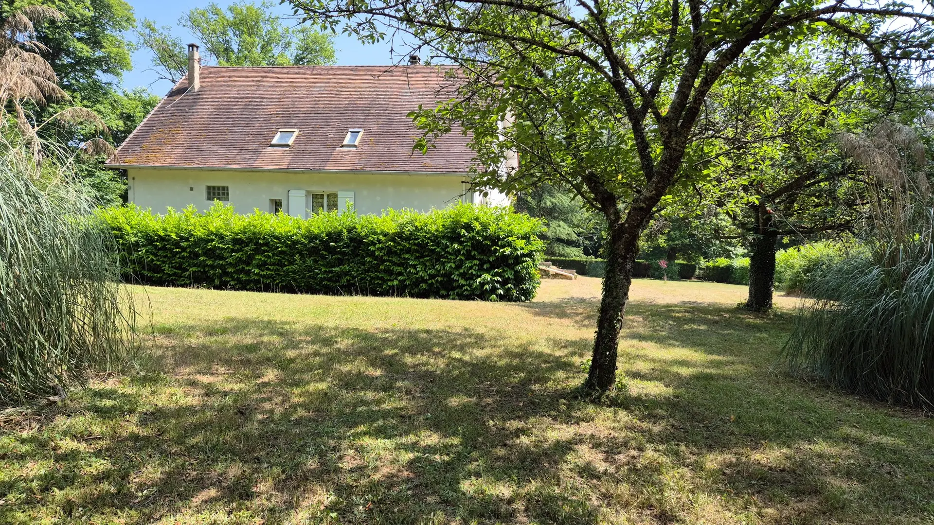 LES GRANDS PINS (72)