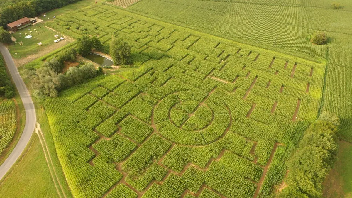 Labyrinthe de Maïs des Châteaux