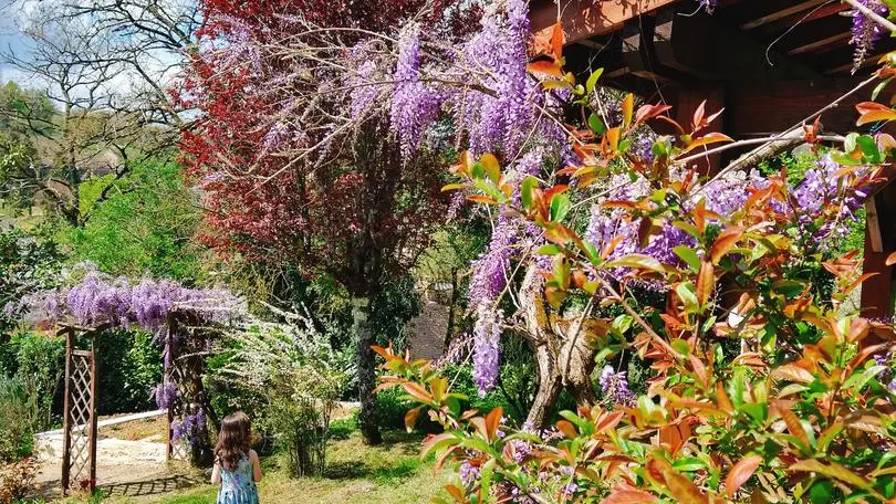 La Colline Sarlat (5)