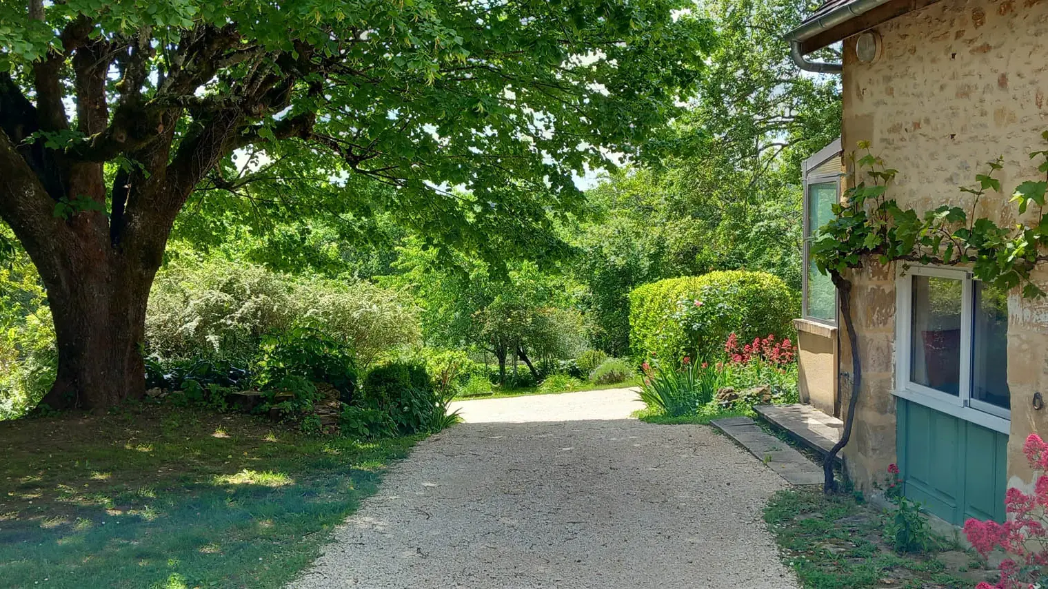 La Vigne Sarlat (26)