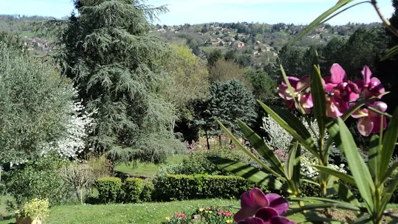 Les Iris - Sarlat (4)