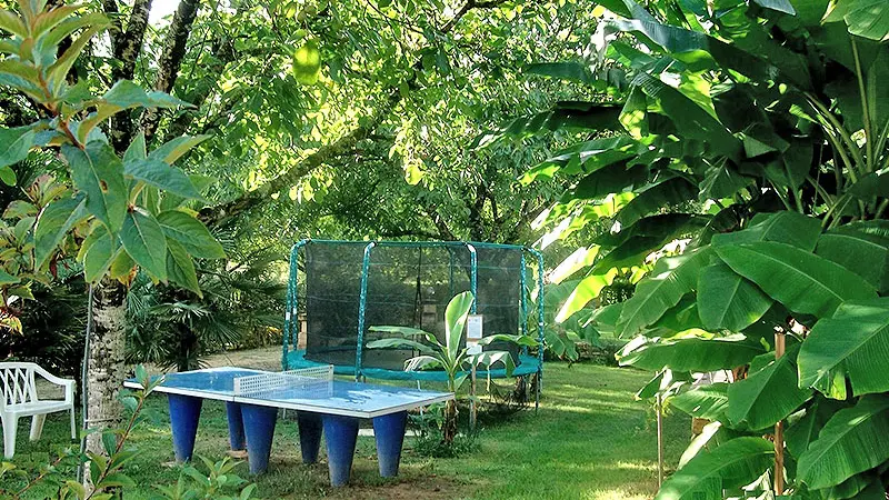 Les Chalets de la Noyeraie - Dordogne