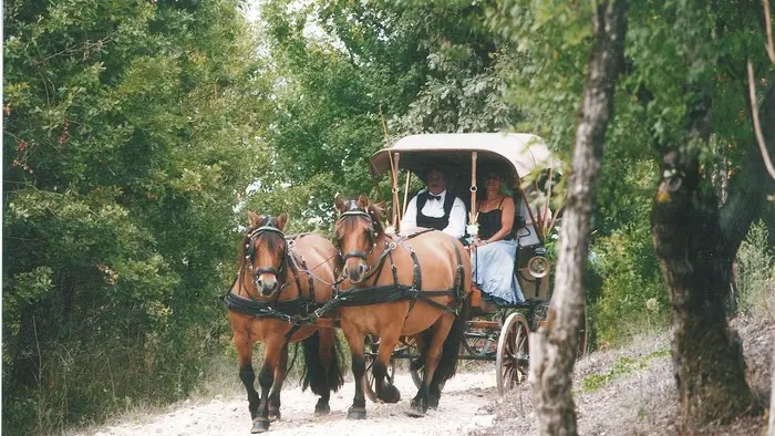 LE CLOS DE LAUSSEL-CHEVAL