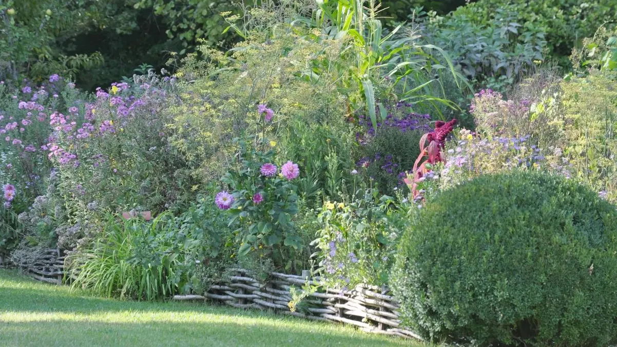 Potager - L'Albarède-le vallon