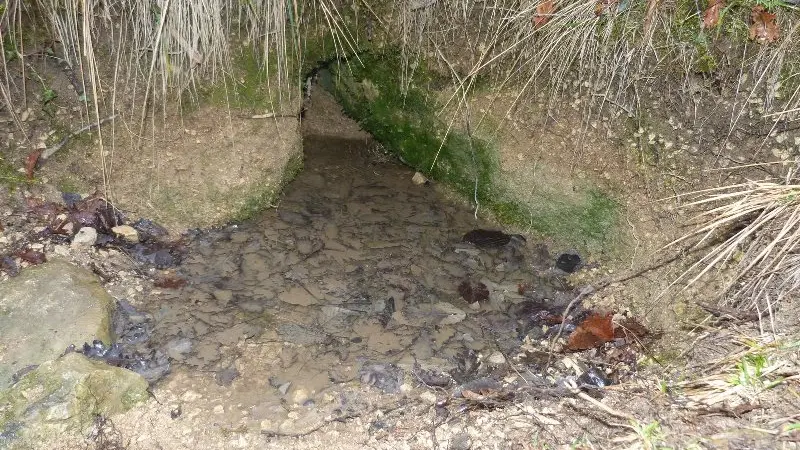 Ruisseau Sentier des Fontaines