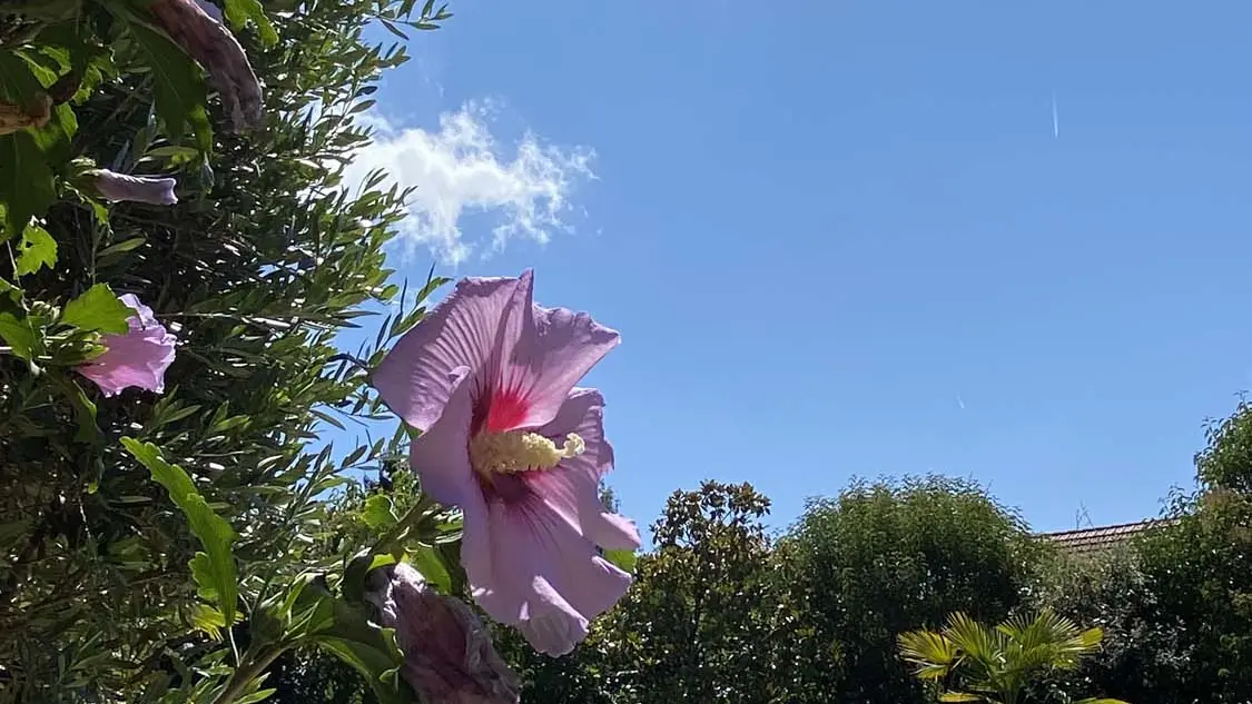 Rêveries en Périgord14