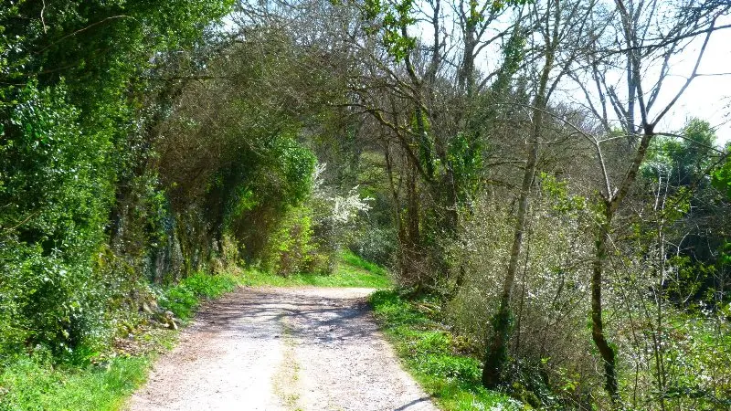 Sentier