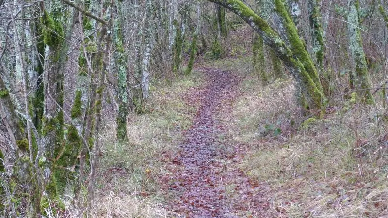 Sentier du Sentier des Fontaines