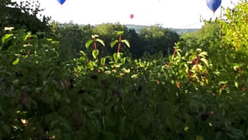 La Fougasse - Castelnaud VOL MONGOLFIERE