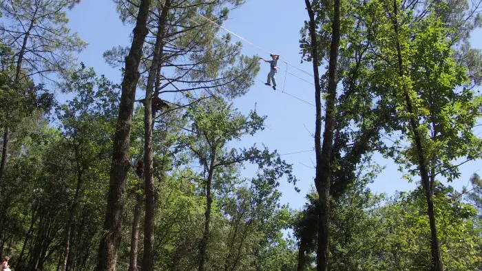 La Forêt des Ecureuils