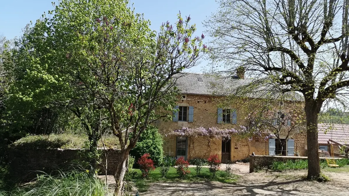 chêne 01