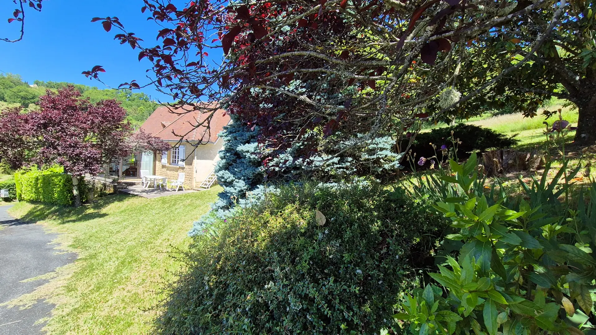 chez nise gite  2 pers a sarlat (4)