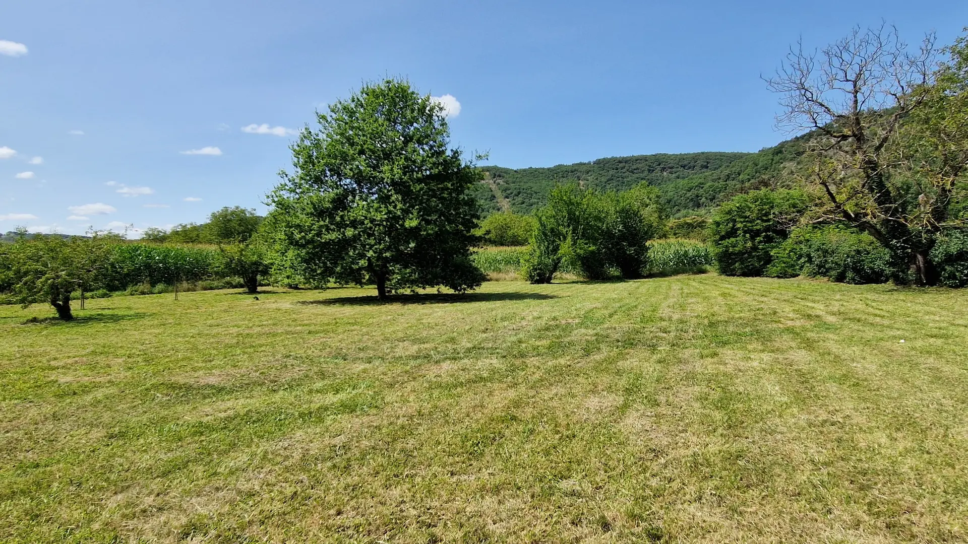 domaine la bouriage proche de sarlat (18)