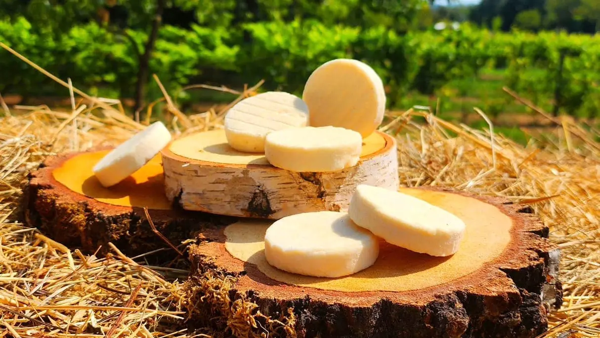 Chèvrerie du Lac de Roudet