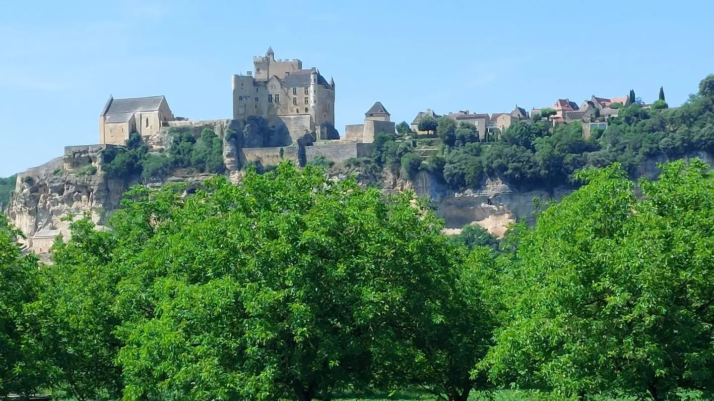 gite plein les yeux avec piscine à beynac (8)