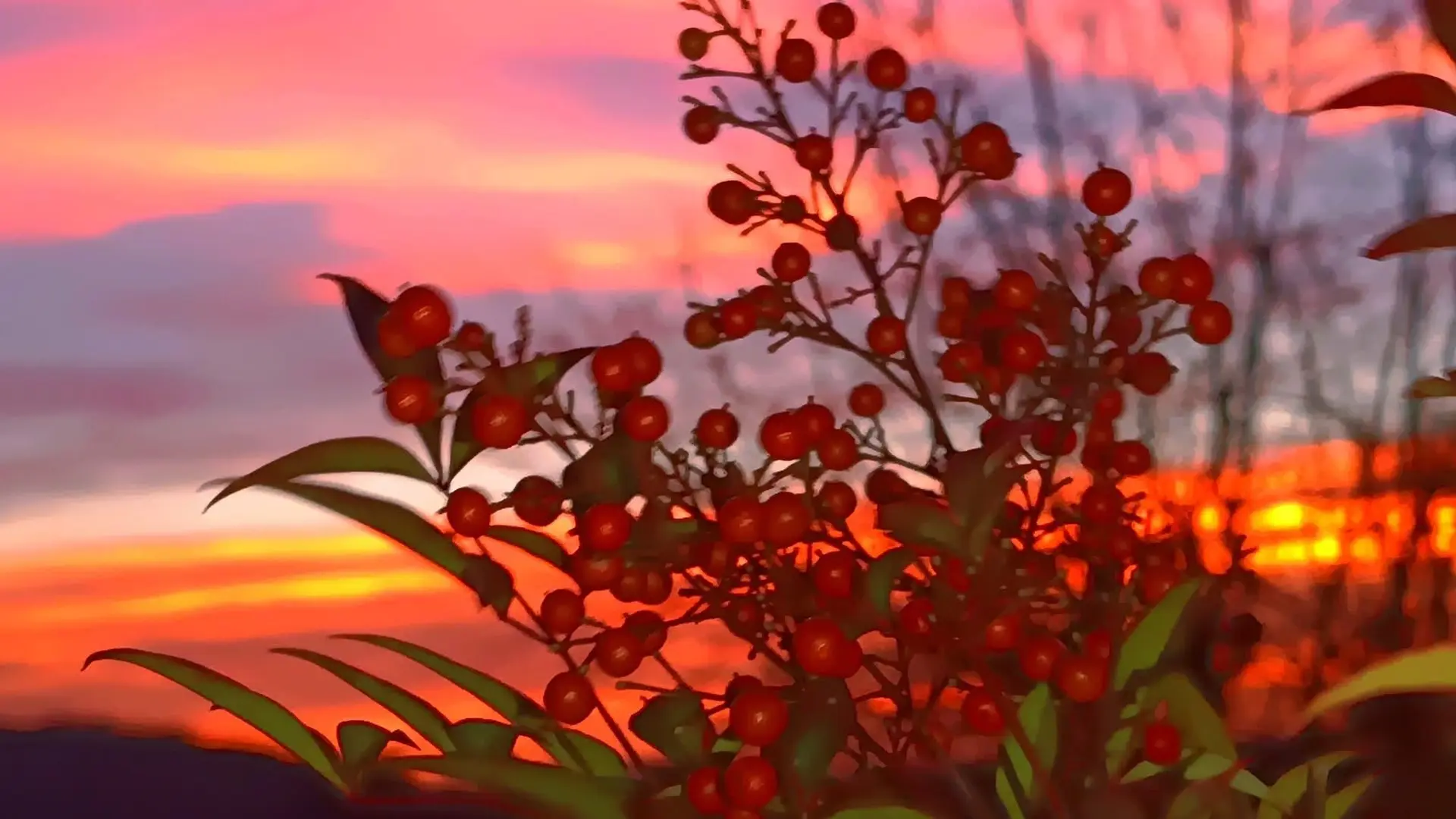 Pleine Fage piscine privée proche de Sarlat_11