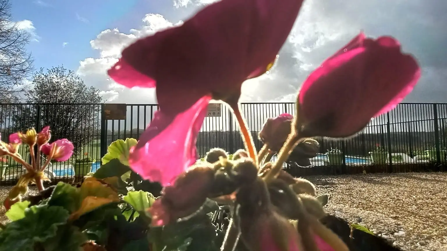 Pleine Fage piscine privée proche de Sarlat_8