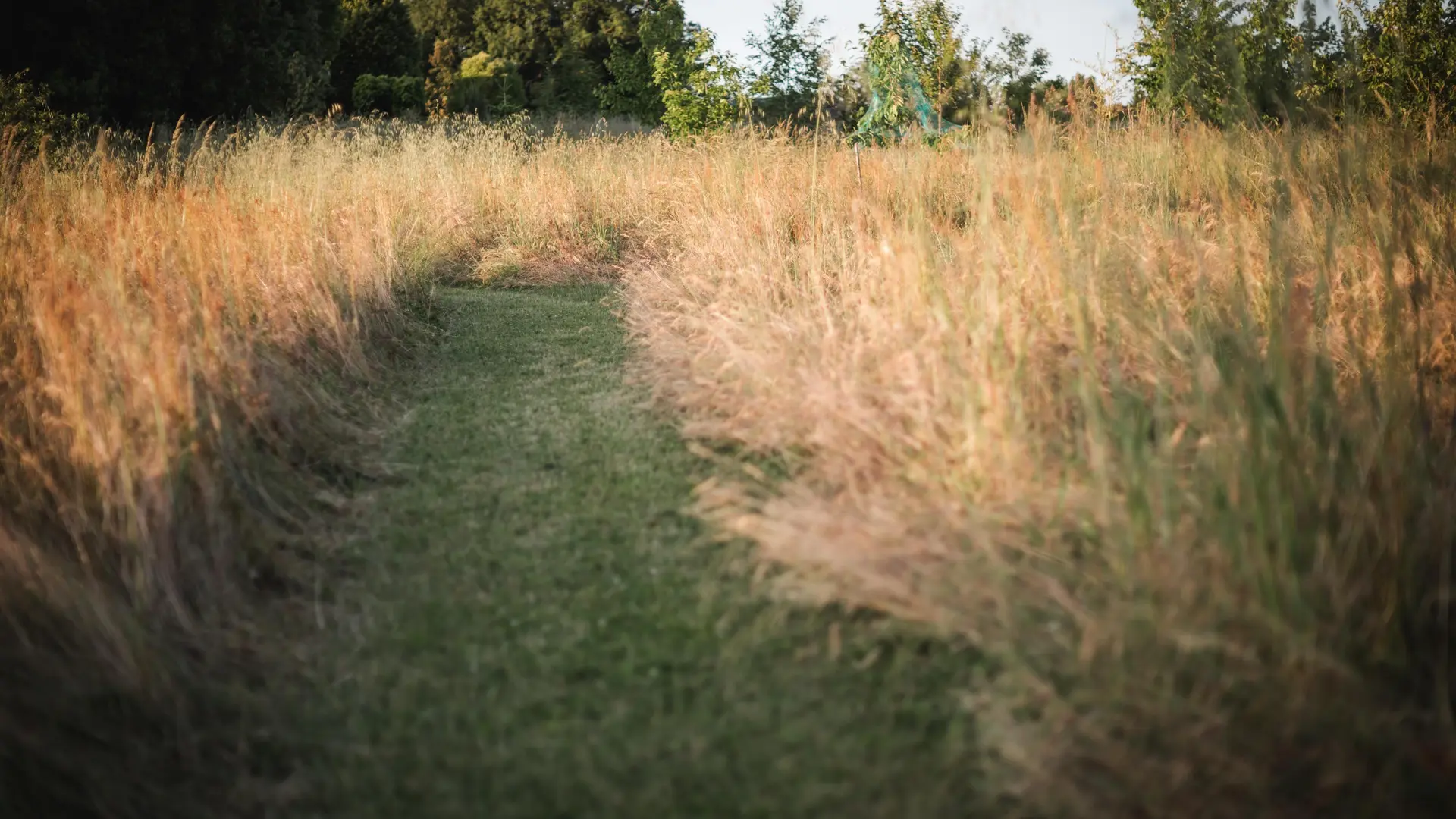 Les Charmes de Vaurizeaud piscine chauffée Sarlat_81