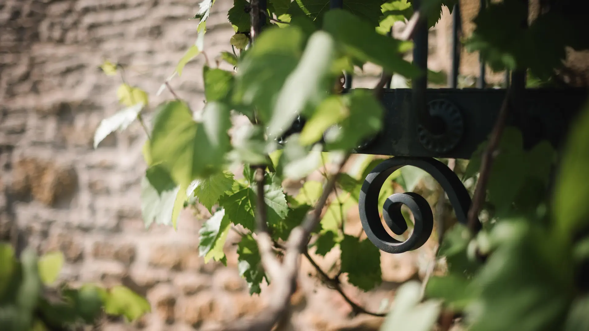 Les Charmes de Vaurizeaud piscine chauffée Sarlat_9