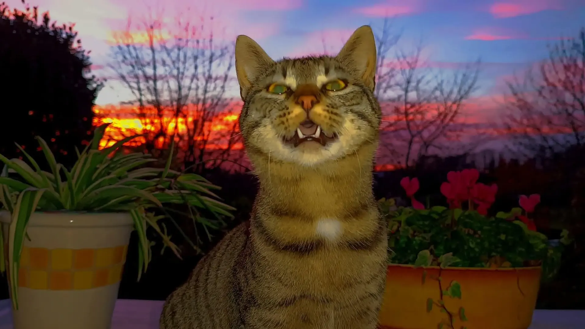 Pleine Fage piscine privée proche de Sarlat_12