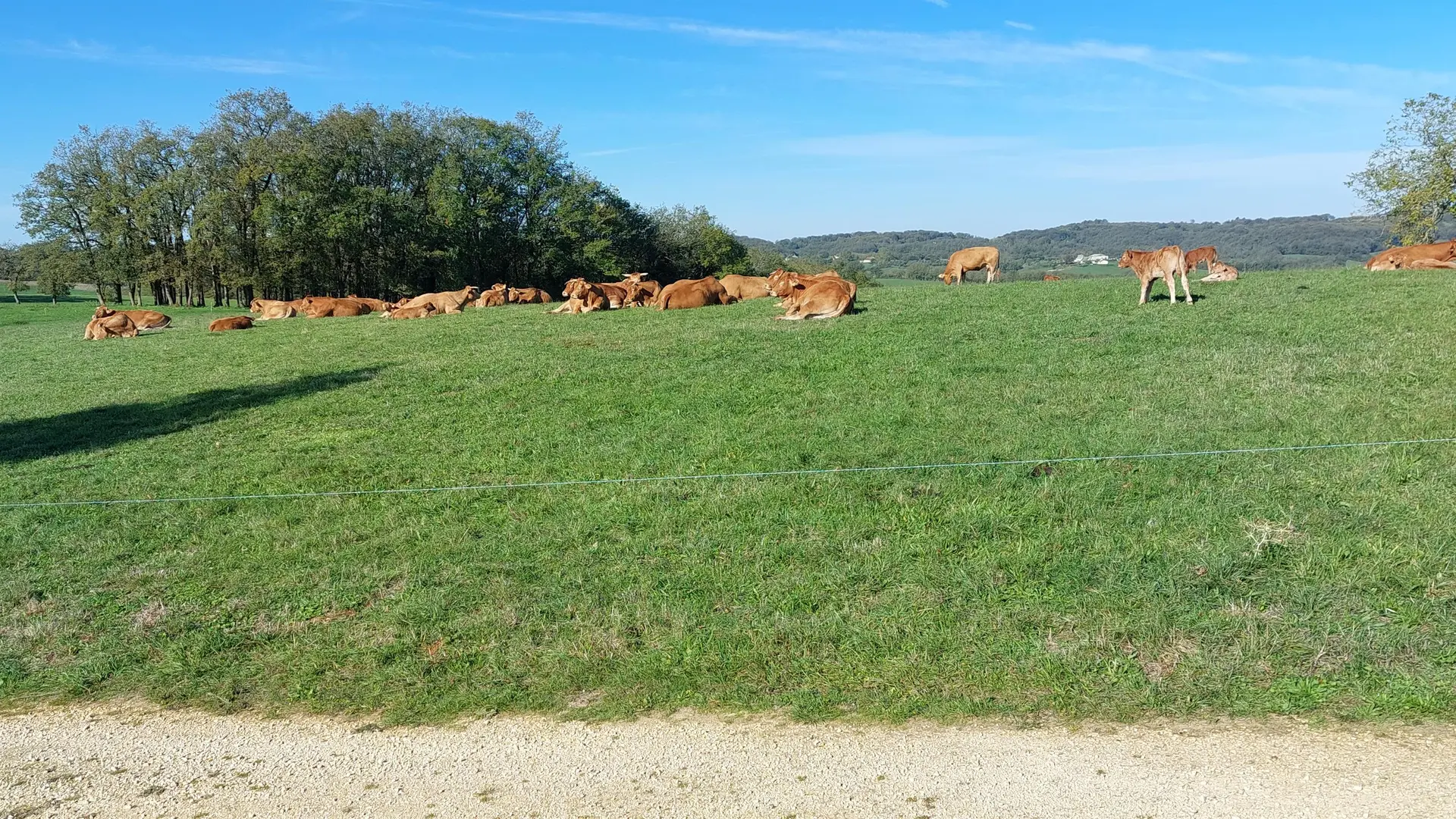 Pleine Fage piscine privée proche de Sarlat_14