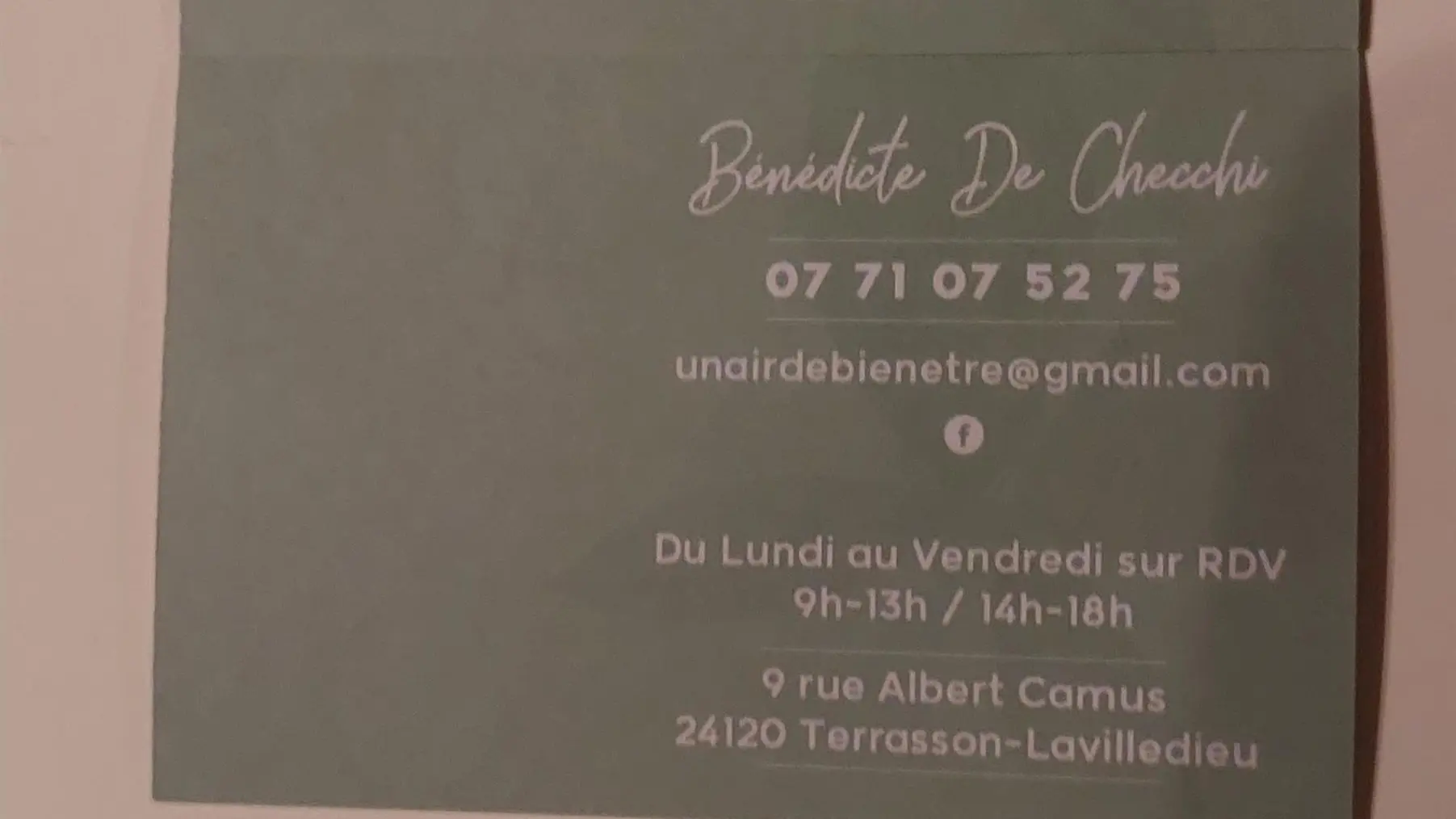 Pleine Fage piscine privée proche de Sarlat_22