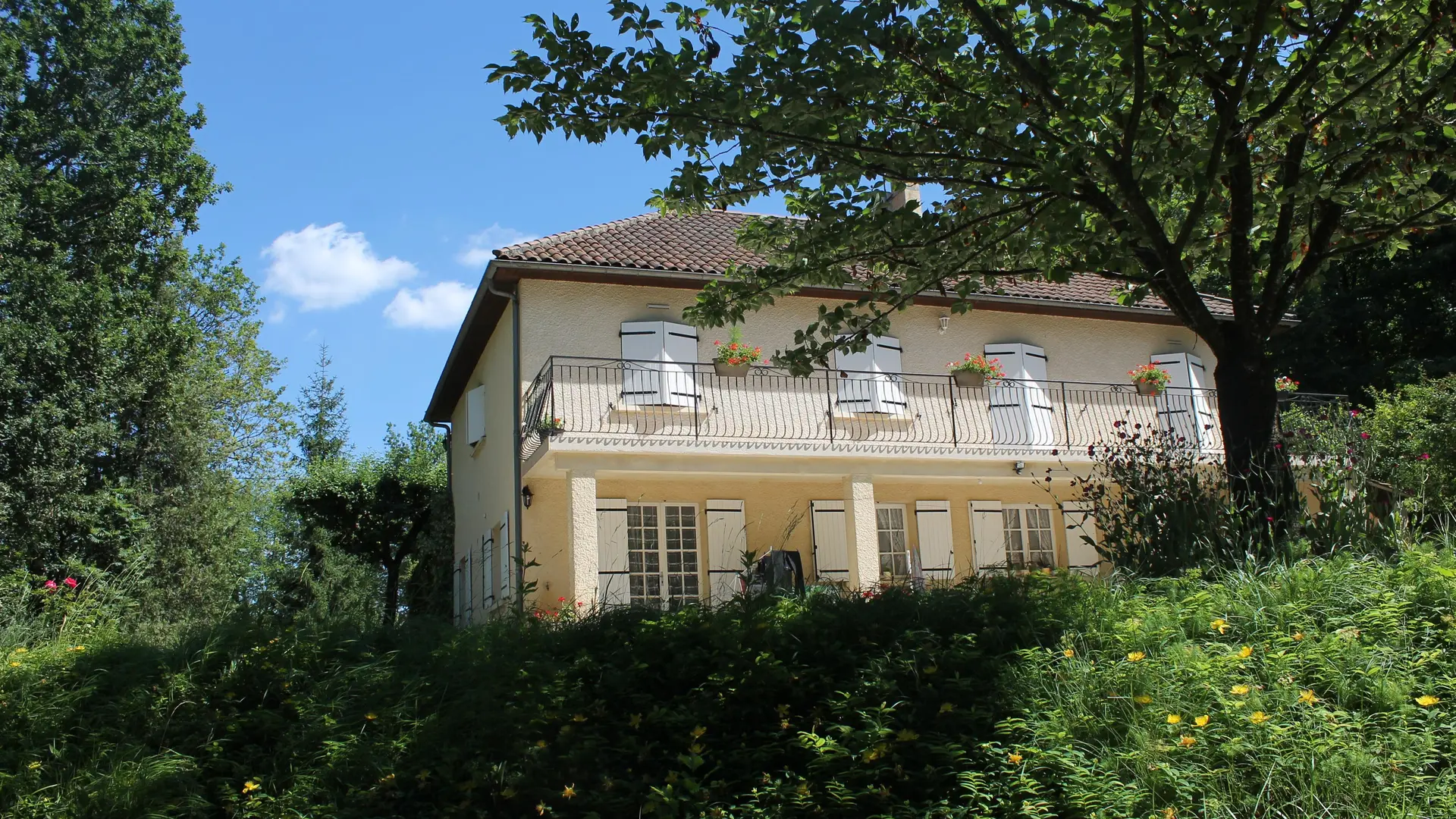 L'Abeille proche de Sarlat_2