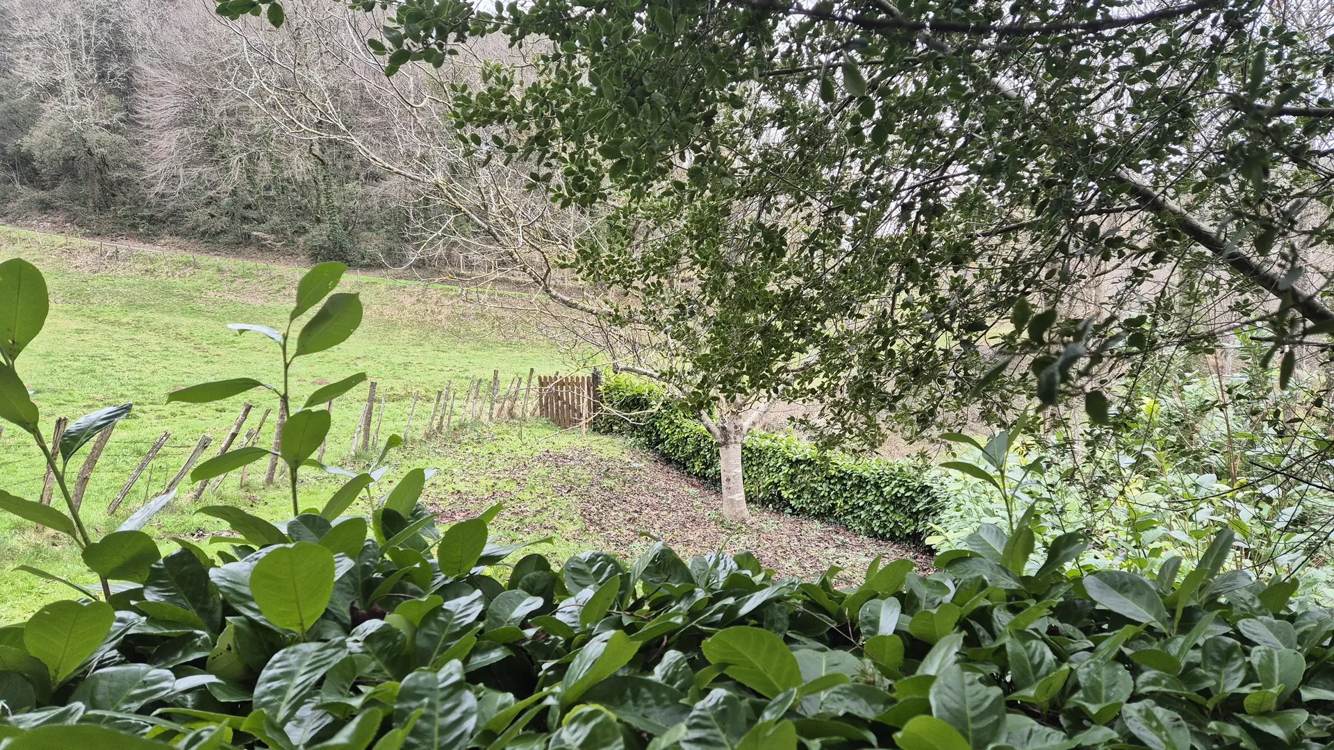 La Prade proche de  Sarlat et  3 km de la rivière_11