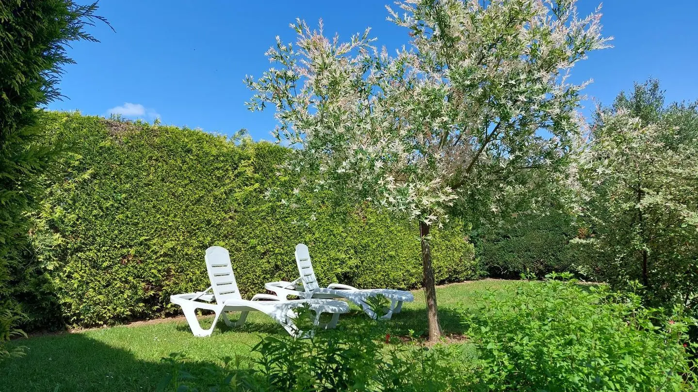 La Bole proche de Sarlat_5