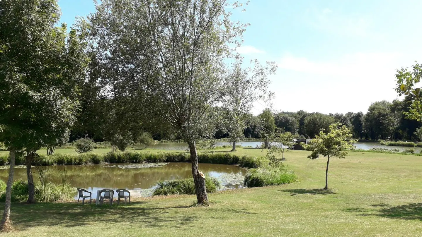 Maison Alexia avec piscine proche de Sarlat_11