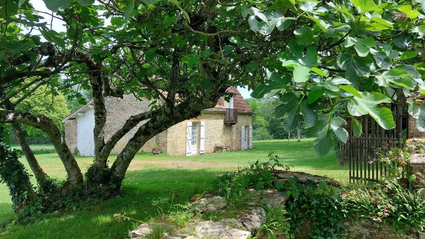 La Petite Fumélie climatisée proche de Sarlat_7