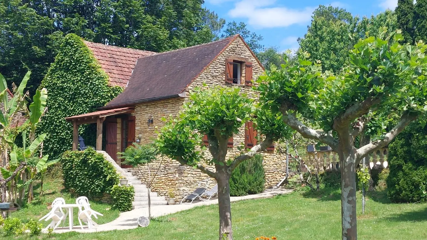 Les Platanes à Sarlat_2