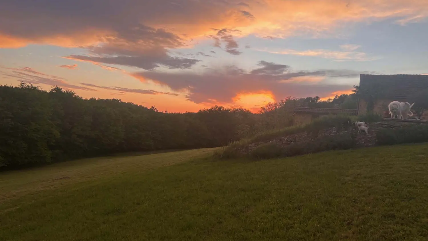 Blue Horizons Farm